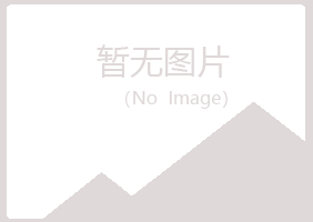 宁夏白山建设有限公司